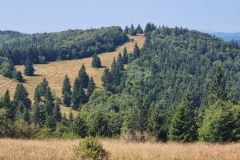 PrechodJavorniky2024_015