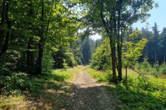 PrechodJavorniky2024_019