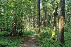 PrechodJavorniky2024_031