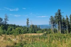 PrechodJavorniky2024_032