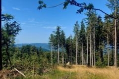 PrechodJavorniky2024_050