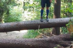 PrechodJavorniky2024_051