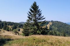 PrechodJavorniky2024_065