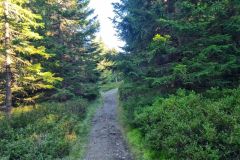 PrechodKrkonose2024_037