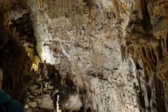 postojna_predjamsky002