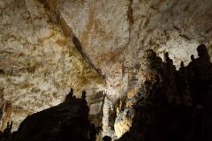 postojna_predjamsky004