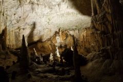 postojna_predjamsky005