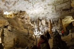 postojna_predjamsky008