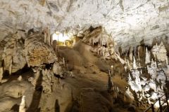 postojna_predjamsky009