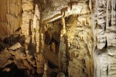 postojna_predjamsky028