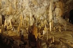 postojna_predjamsky029