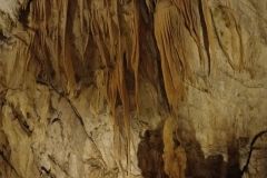 postojna_predjamsky031