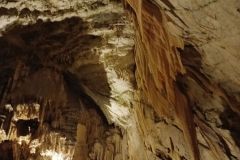 postojna_predjamsky032