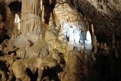 postojna_predjamsky033