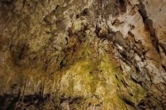 postojna_predjamsky035